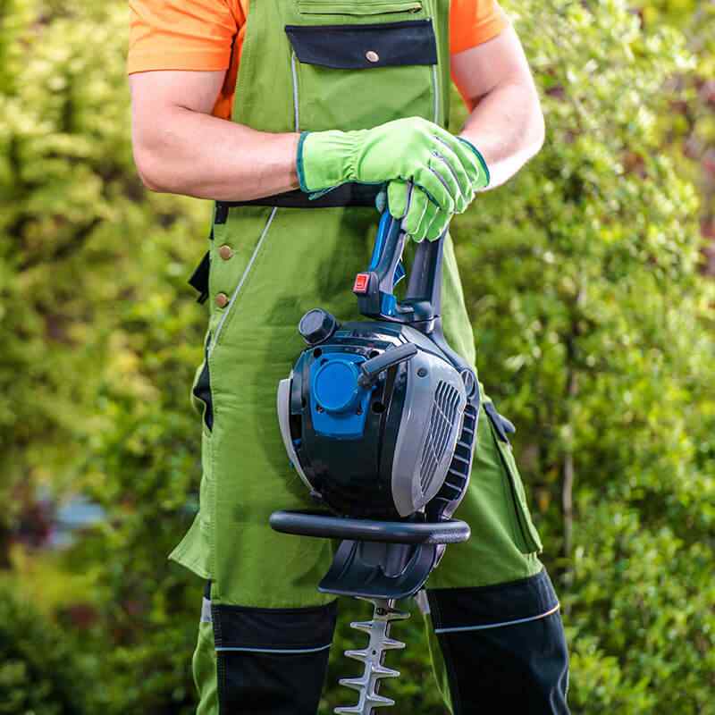 https://ausmatotaaltuin.nl/wp-content/uploads/2019/08/home_4_services.jpg