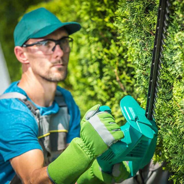 https://ausmatotaaltuin.nl/wp-content/uploads/2019/08/team_05-640x640.jpg