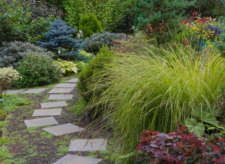 https://ausmatotaaltuin.nl/wp-content/uploads/2019/10/gallery_06-768x560.jpg