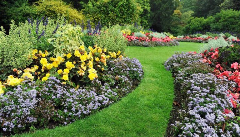 https://ausmatotaaltuin.nl/wp-content/uploads/2019/10/slider_02-768x440.jpg